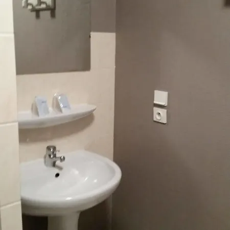 Hotel Le Saint Vincent Apremont (Savoie)