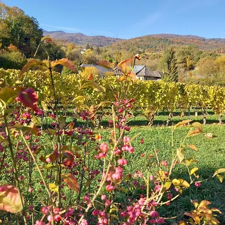 Le Saint Vincent فندق Apremont (Savoie)