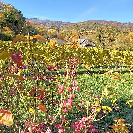 Le Saint Vincent Hotel Apremont (Savoie)