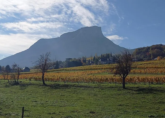Le Saint Vincent Hotel Apremont (Savoie)